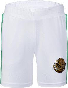 Conjunto de Camiseta de la Selección Nacional de Portugal, Pantalones Cortos Rojos y Verdes, Ropa Deportiva para Niños, Poliéster de Secado Rápido, Duradero, Importado, Thopson International - Product Image 6