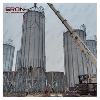Silo de Almacenamiento de Granos de Café Directo de Fábrica, Capacidad Personalizada de 20-3000T Disponible