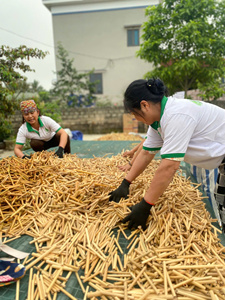 High Quality Environmentally Friendly Biodegradable Bamboo <b>Reusable</b> <b>Straws</b> Green Future Big Supply Vietnam Catered for EU Market - Product Image 2