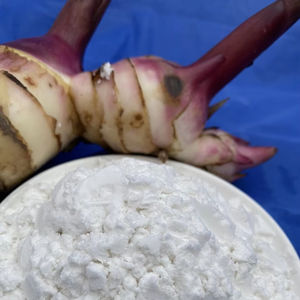 Amidon de marante biologique de qualité supérieure, prix abordable, goût naturel pour aliments et ingrédients, emballé en sac, provenant du Vietnam - Product Image 1