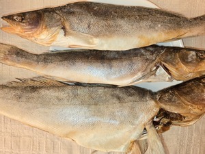 Poisson séché Fournisseur de tilapia frais Poisson sec Pas Cher Poisson séché Vente en gros Poisson entier délicieux Thon séché à sec - Product Image 2