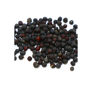 Distributeur en gros de colza offrant un prix réduit pour l'approvisionnement mondial - Product Image 6