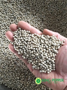 พริกไทยขาวเวียดนามขายส่งสำหรับส่งออก คุณภาพดี ราคาดีที่สุด - Product Image 1