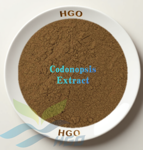 Suministro directo de fábrica HGO de extracto de Codonopsis natural puro (grado alimenticio) Especificación 10:1 (extracto de proporción) - Product Image 1