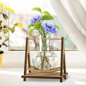Top Manufacturer's Desktop Air <b>Plant</b> Terrarium Wooden StandPropagation Station <b>Propagator</b> Glas <b>for</b> Garden Use - Product Image 4