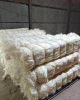Sisal Fiber Bleached White 100% Natural / Quality Sisal Fibre / Raw Sisal Fibre Material Tanzania WhatsApp +255 760 808 853
