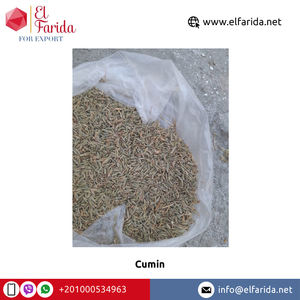 Producto de especias individuales crudas puras de la mejor calidad 100%-Semillas de comino Egipto Venta enorme Semillas de comino de la mejor calidad Proveedor de origen egipcio - Product Image 5