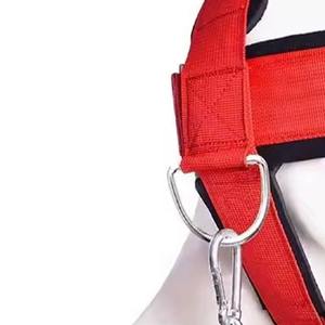 Arnés de Cabeza para Levantamiento de Pesas, Profesional, de Acero Inoxidable, Transpirable, Resistente, Portátil, para Entrenamiento en Gimnasio - Product Image 2