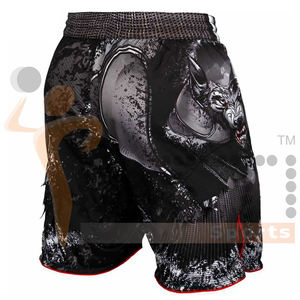 2024 haute qualité Mma Shorts de boxe en gros Polyester vêtements de sport hommes personnalisable Oem Arts martiaux Sublimation combat Shorts - Product Image 2