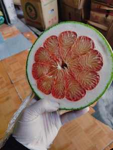 Pomelo Rosa Fresco al por Mayor de Vietnam para Exportación a Supermercados y Distribuidores de Frutas con Pulpa Dulce y Jugosa - Product Image 4