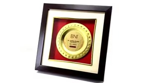 Placa de escudo redondo de alta demanda para honrar los logros en eventos corporativos o torneos deportivos disponibles a precio de exportación - Product Image 4