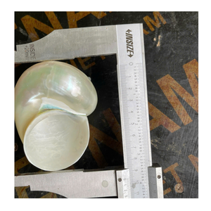 Proyectos artesanales de concha en blanco y verde del proveedor de Vietnam 99 DATOS DE ORO para estilo artístico - Product Image 5