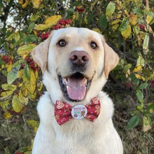 Divers styles de décorations de Noël La tradition rencontre la tendance - Product Image 3