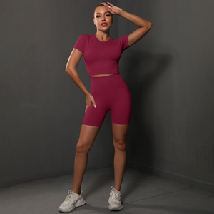 Navy Blue Seamless T-Shirt and <b>Shorts</b> Set <b>for</b> <b>Women</b> | High Waist Gym Outfit | Stretchy Two Piece Workout Activewear - Product Image 3