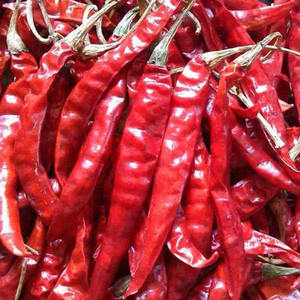 Hot Deal with Best Price Sanam S4 High Quality Hot and Spicy seasoning <b>Dried</b> Chili Pure Natural India Grade 334Dried <b>Red</b> Chili - Product Image 4