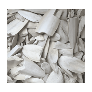 ปลาหมึกพรีเมี่ยมปลาหมึกล้างกระดูกปลาหมึกสำหรับสัตว์เลื้อยคลานราคาดี-ตัวเลือกที่ดีที่สุดสำหรับคุณ/ms.thi - Product Image 1