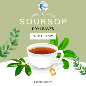 ¡Formulario disponible! Calabaza amarga de estilo verde seca natural, melón de calabaza amarga de hojas de Guanábana secas de Vietnam, hojas de laurel secas - Product Image 2