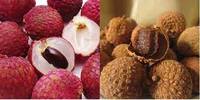 Premium gedroogde lychee, natuurlijke tropische fruitsnack uit Vietnam