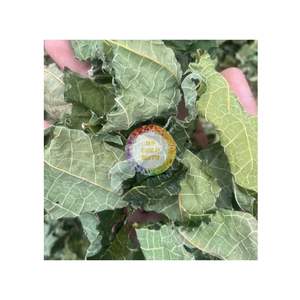 Feuilles de papaye séchées au soleil, qualité supérieure, feuilles de papaye emballées en sachet de thé, vente en gros, meilleur prix, feuilles de papaye - Product Image 1