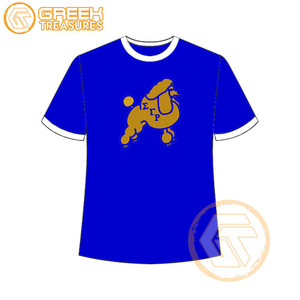 Vente en gros de t-shirt Sigma Gamma Rho pour femmes vêtements de sororité jersey de coton t-shirt respirant de haute qualité vêtements grecs pour femmes - Product Image 6