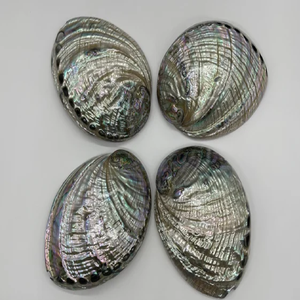 Piedra preciosa de concha de abulón de la mejor calidad Piedra preciosa en forma de mezcla de concha de abulón natural de la mejor calidad para uso en joyería al por mayor - Product Image 3