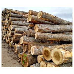 Bois dur dense de qualité supérieure, parfait pour les poutres, les terrasses et les structures extérieures - Product Image 2