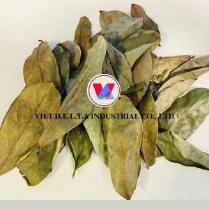 BOLSA DE TÉ VEGAN FRIENDLY SOURSOP LEAF CON ETIQUETA LIMPIA E INGREDIENTES DE ORIGEN NATURAL - Product Image 3