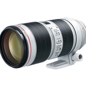Objectif EF 70-200mm f/2.8L IS III USM neuf, prêt à être expédié - Product Image 3