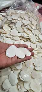 Blancs de boutons en os ovales naturels de qualité supérieure pour l'artisanat et la personnalisation - Product Image 2