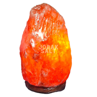 Lampe en sel rose de l'Himalaya sculptée à la main JOBAK - Écologique, Feng Shui, 100% cristal pur, qualité supérieure, base en bois personnalisée