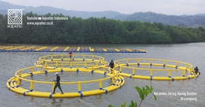 Jaula redonda AQT de HDPE de la MEJOR CALIDAD, diámetro de 10m a 50m, para piscicultura, con una vida útil de más de 20 años con mantenimiento regular. - Product Image 6