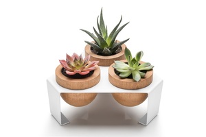 Maceta de Madera para Suculentas, Soporte de Metal Blanco, Decoración para el Hogar y la Oficina, Soporte para Plantas de Escritorio, Exhibición de Plantas, Estilo Europeo, Excelente Regalo - Product Image 5