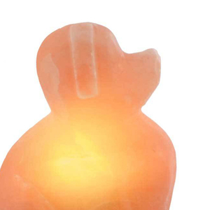 Vente en gros de lampe contemporaine en cristal de sel rose de l'Himalaya Lampe de table électrique de haute qualité personnalisée en forme d'animal pour la chambre - Product Image 5