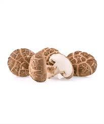 Seta Shiitake seca comestible cultivada orgánica al por mayor a la venta - Product Image 4