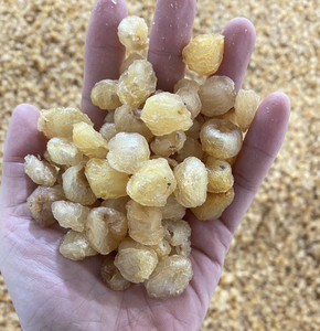 Longane séché d'origine vietnamienne, préparé à partir de fruits de haute qualité, pour la préparation de collations, la pâtisserie et les activités commerciales d'importation. - Product Image 1