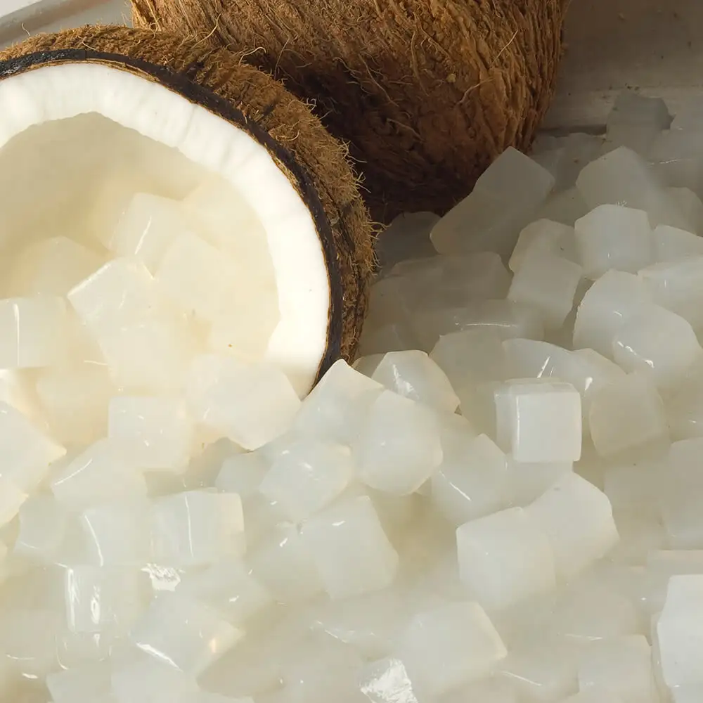 GELÉE DE NOIX DE COCO/NATA DE COCO-GARNITURE CHAUDE POUR BOISSONS ET CRÈME GLACÉE-PRIX RAISONNABLE/BELLA