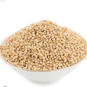 Sorgho blanc de qualité supérieure, naturellement sucré et séché, très nutritif, provenant des Pays-Bas, avec une durée de conservation de 24 mois - Product Image 4