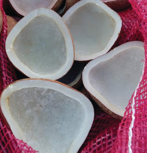 COPRA DE NOIX DE COCO SÉCHÉE DE HAUTE QUALITÉ | MATIÈRE PREMIÈRE NATURELLE POUR L'EXTRACTION D'HUILE ET LE TRAITEMENT DES ALIMENTS DU VIET DELTA VIETNAM | MS. LILY - Product Image 5