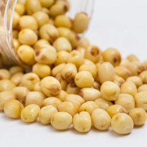 ลดกระหน่ำเมล็ดลูตัสสำ2024ตัวเลือกที่ดีที่สุดสำหรับสวนของคุณต้องการซื้อตอนนี้และประหยัด - Product Image 4