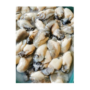 Mejillones Conchas de mejillón azul Congelado Bolsa amarilla Estilo Tiempo Mejillones frescos verdes Ostra Media concha con 1Kg/caja x 12/CTN Embalaje - Product Image 1