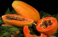 Papaja Crème Export Uit Vietnam Met Hoge Kwaliteit En Verse Papaja Concurrerende Prijs