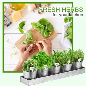 Galvanized Iron <b>Mini</b> Succulent Planters Set of 5 Herb Flower <b>Pots</b> with Tray Metal <b>Plant</b> <b>Pots</b> Home Kitchen Gardening - Product Image 6