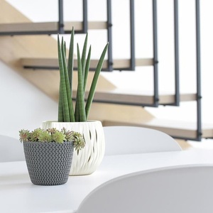 Vaso per Fiori in Plastica Rotondo Prosperplast Splofy 11.5L, Grigio, 29.5 x 24.9 cm - Product Image 4