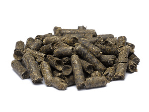 Granulés de pulpe de betterave à sucre supérieurs pour l'alimentation des animaux/pulpe de betterave à sucre bon marché alimentation animale pulpe de betterave à sucre en gros - Product Image 3