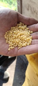 Fertilizante agrícola de fábrica DAP 18-46-0 Uso de fosfato de diamonio para plantas - Product Image 2