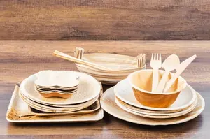 Assiettes jetables en feuille d'areca-Vaisselle robuste, étanche et sans produits chimiques pour le mariage, la restauration et les repas écologiques en plein air - Product Image 5