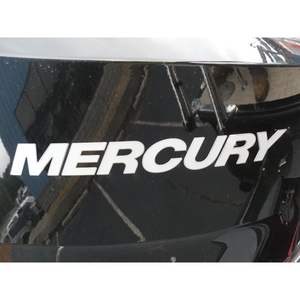 Barco Rígido Regency 250 DL3 2024 en Nueva Condición, 27'5" de Aluminio, 350HP - Product Image 3