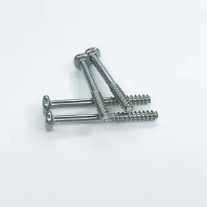 Better Price Custom Non-Standard Motorcycle Decorative Screw