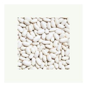 Frijoles blancos asequibles a la venta para comercio internacional - Product Image 1