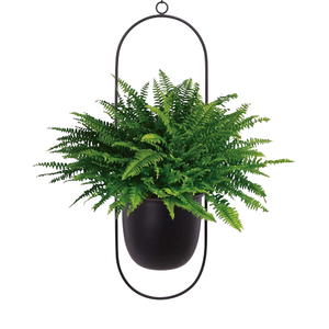 Jardinières suspendues en métal galvanisé noir mat de forme ovale pour jardinières suspendues au mur et au plafond d'intérieur porte-fleurs - Product Image 1